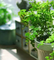 七台河专属于你的开运指南，助你鸿运当头福满身！